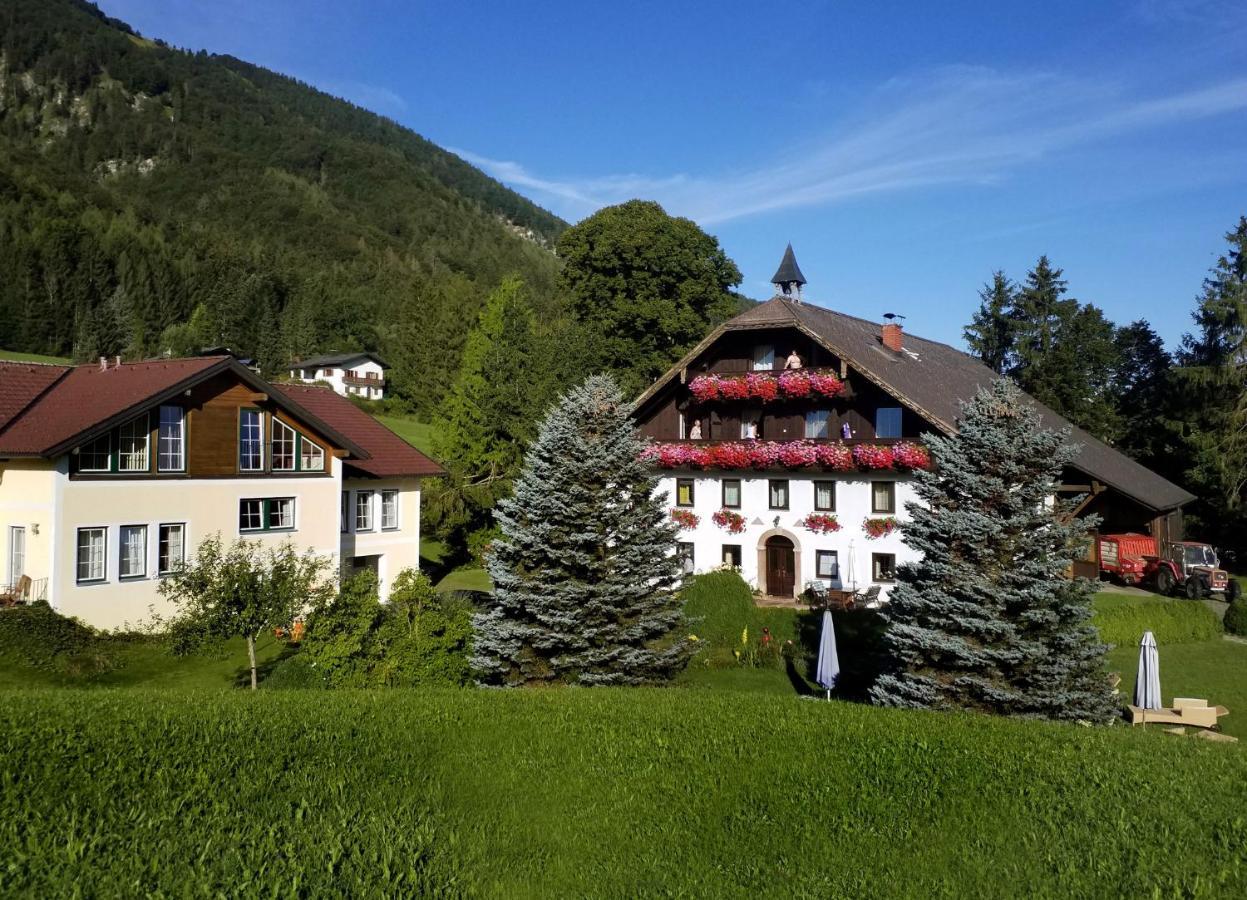 Hotel Pension Hohenau Fuschl am See Zewnętrze zdjęcie