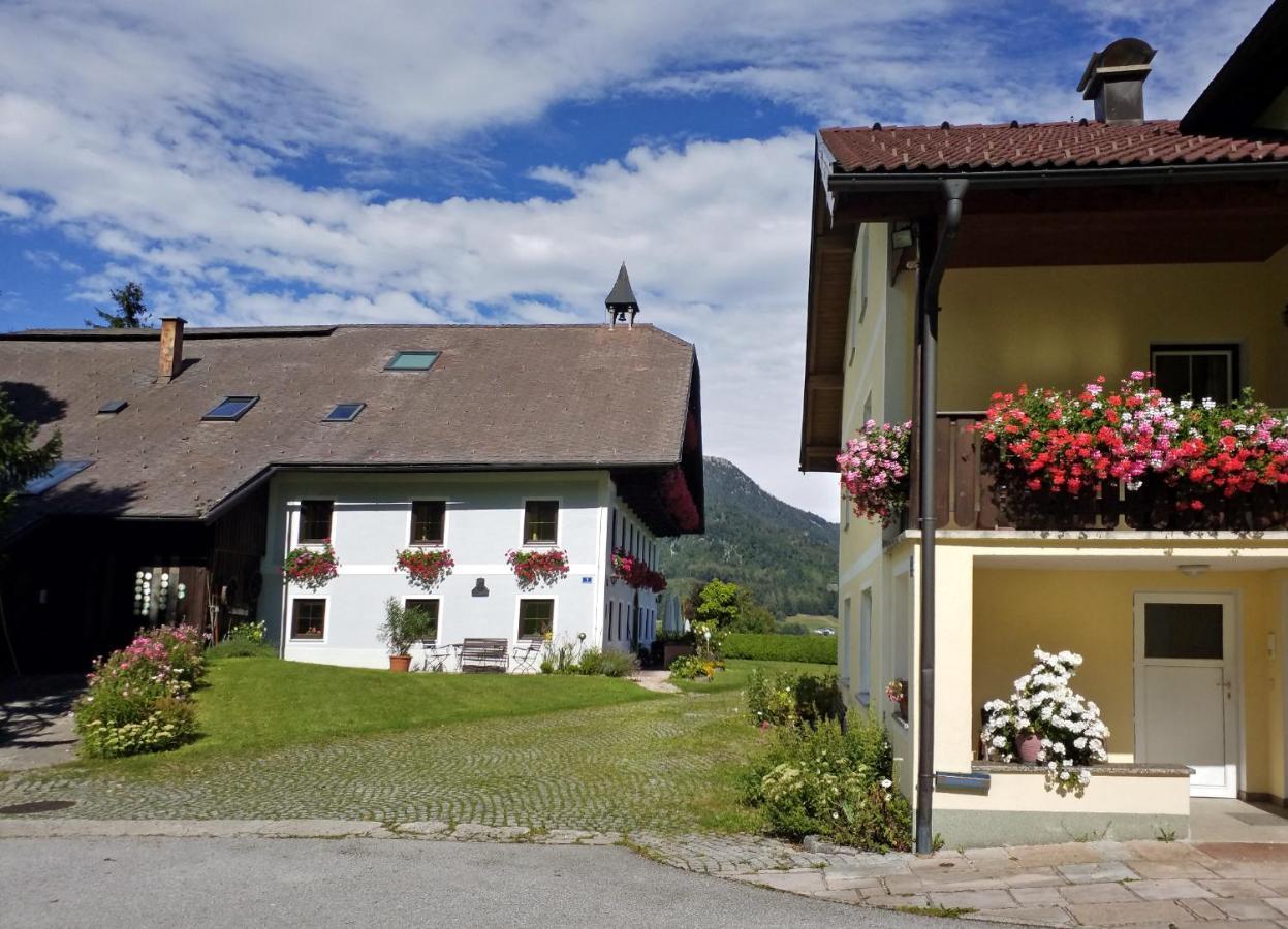Hotel Pension Hohenau Fuschl am See Zewnętrze zdjęcie
