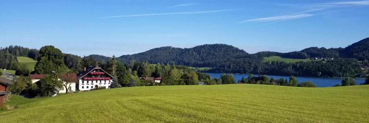 Hotel Pension Hohenau Fuschl am See Zewnętrze zdjęcie